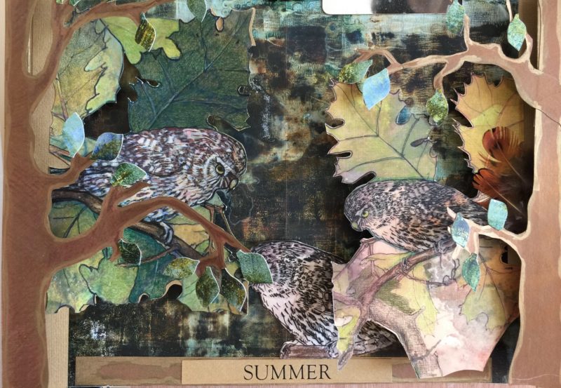Summer Pygmy Owls Handmade Book